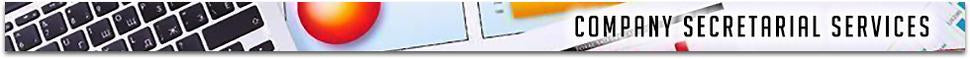 Company Secretarial Services